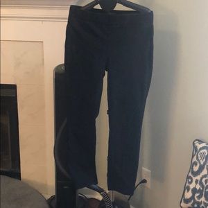 NYDJ pull on puppy leggings